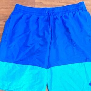 Nike Blue and Teal Men's Shorts